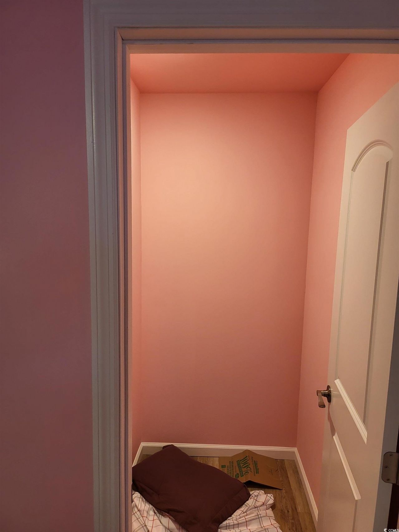 236 Goldenrod Circle Photo 21