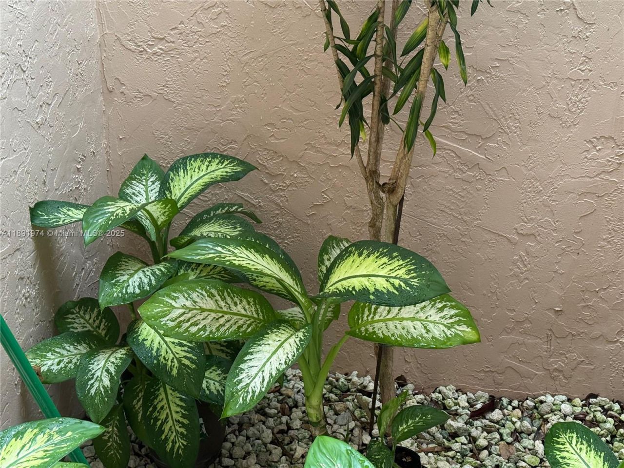 8204 Summerbreeze Ln, Boca Raton, FL 33496 Photo