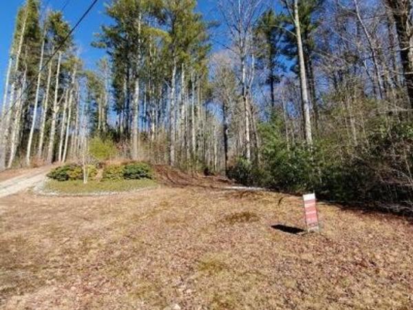 Tbd Heartwood Lane, Butler, TN 37640