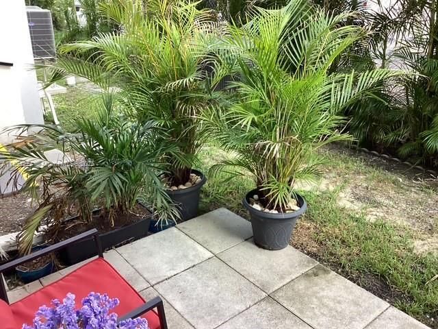 3133 S Ocean Dr, Unit 118, Hallandale Beach, FL 33009 Photo