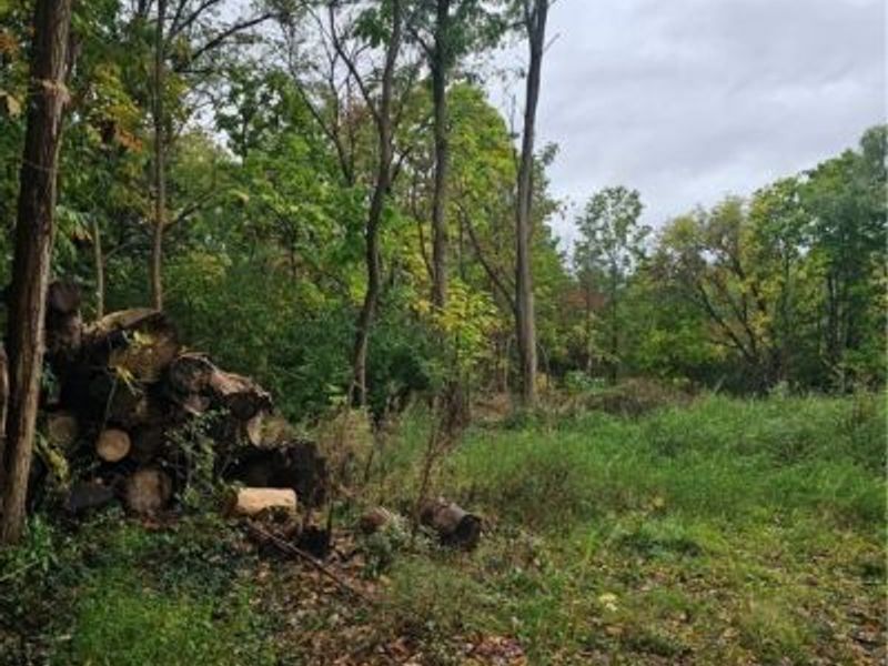 8134 N Boyden Road, Sagamore Hills, OH 44067 Photo 2