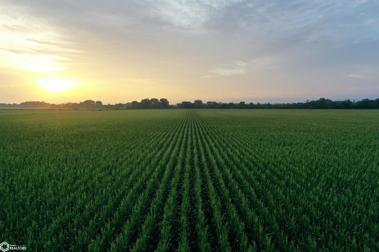 Us Highway 59, Shenandoah, IA 51601 Main Photo