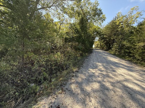 Lot 1 Daisy Lane , Lampe, MO 65681