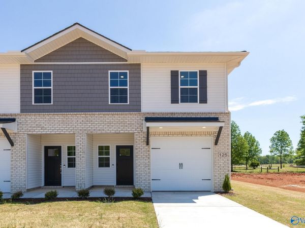 125 Mongoose Lane, Toney, AL 35773