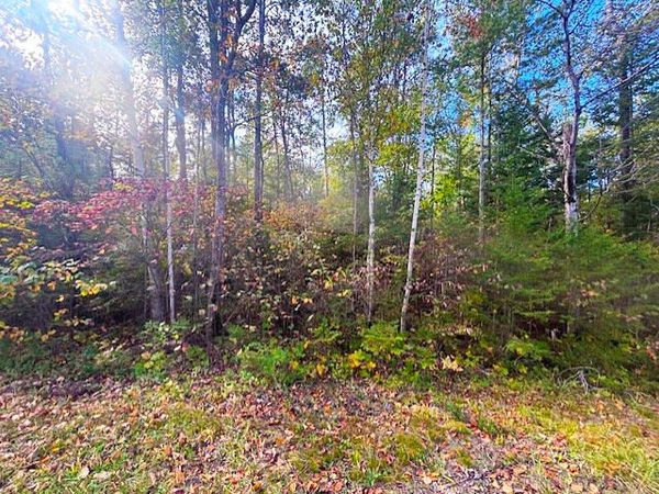 Lot 181 Northland Heights Drive, Presque Isle, MI 49777