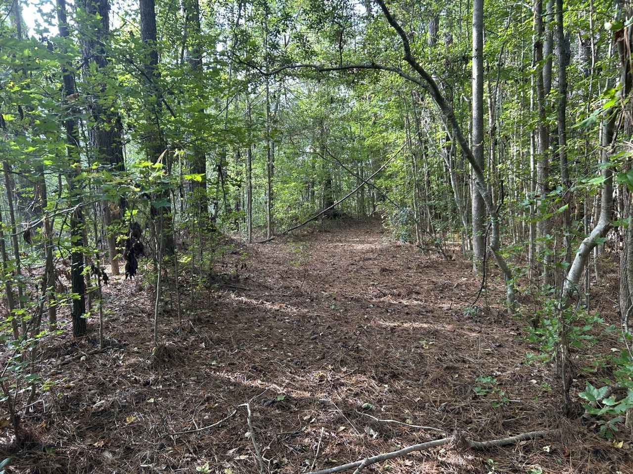 123 Kyseth Lane Photo 18
