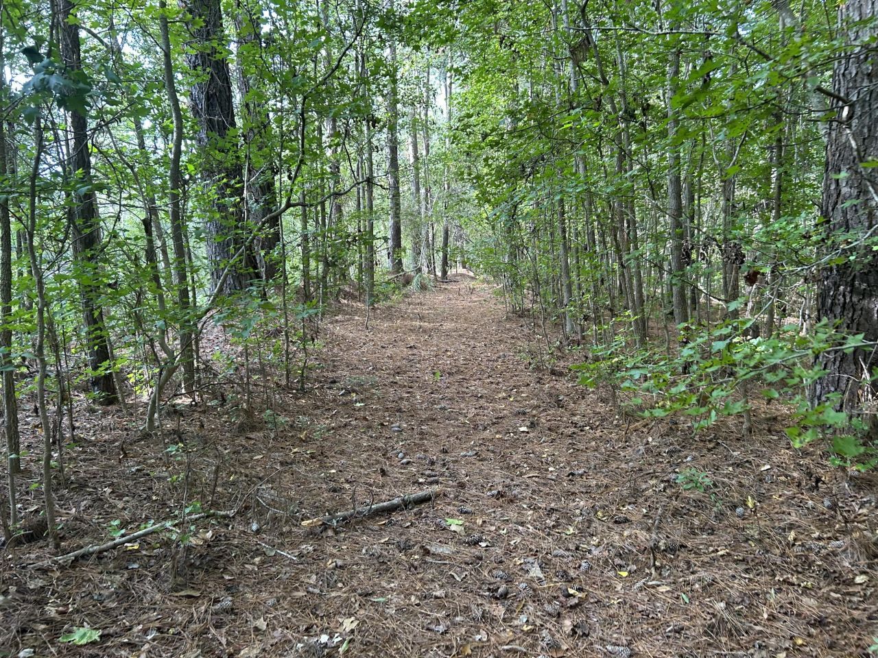 123 Kyseth Lane Photo 19