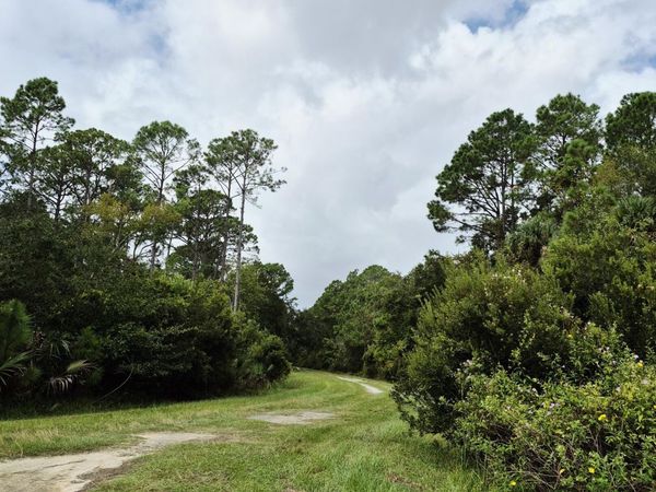 214 DOGWOOD Avenue, Georgetown, FL 32139