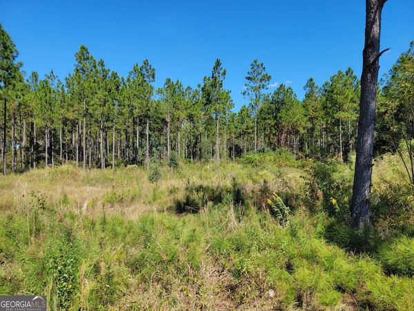 0 Tuton Road, Baconton, GA 31716