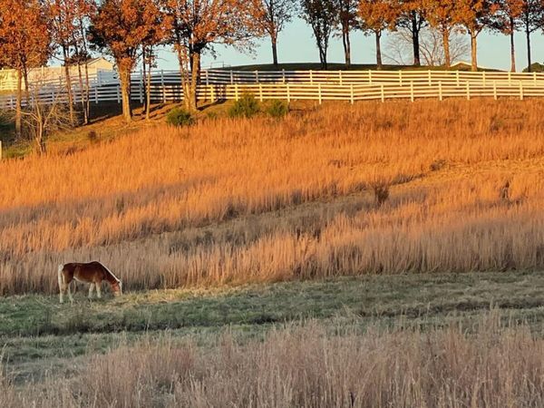 520 Lowe Rd, Crossville, TN 38572