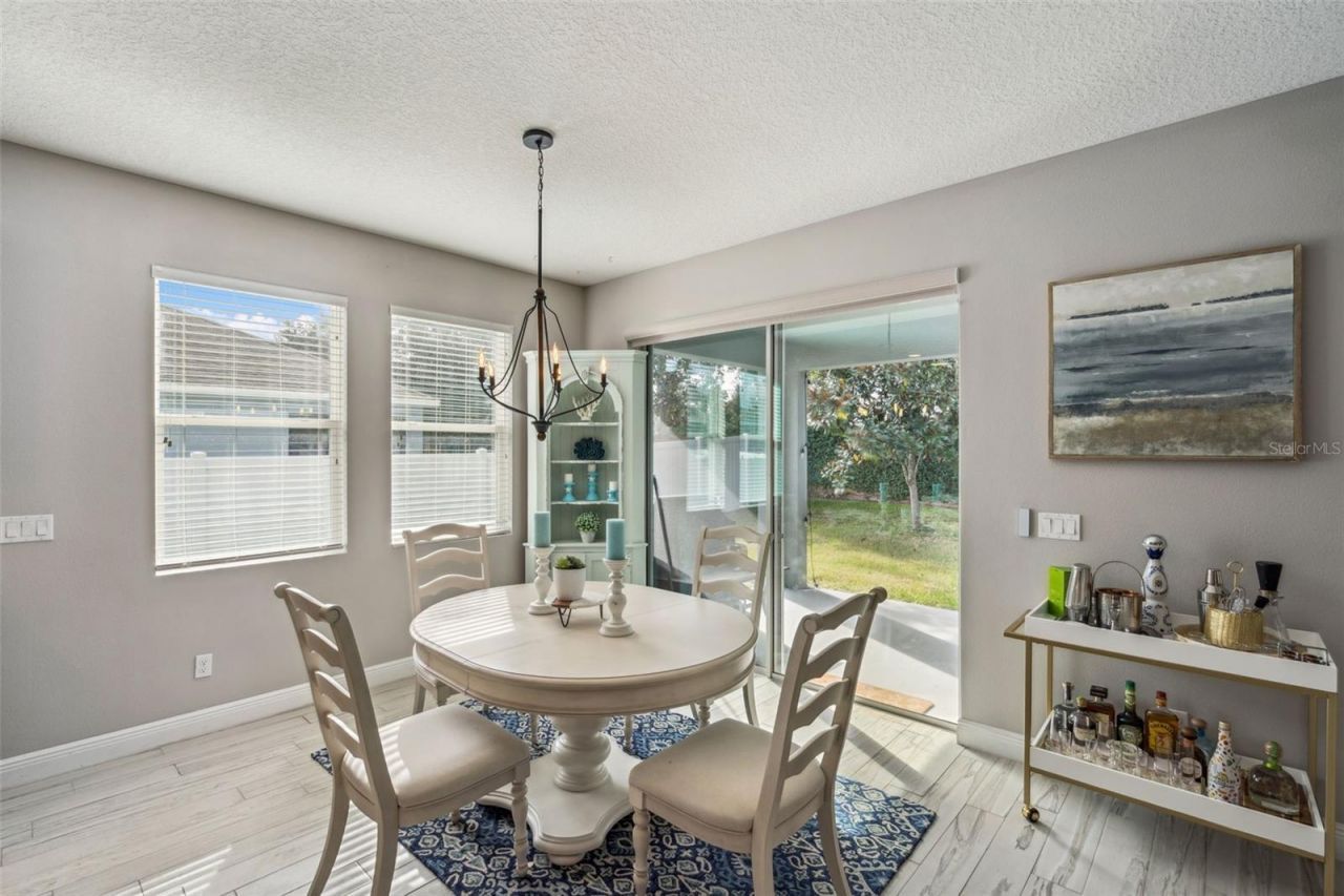 2496 Plumadore Drive, Grand Island, FL 32735 Photo