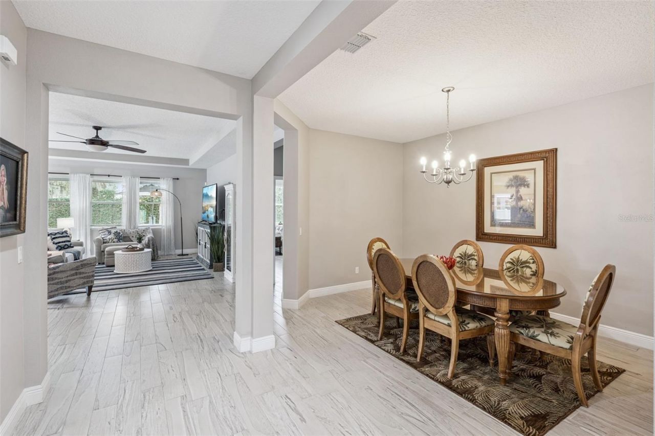 2496 Plumadore Drive, Grand Island, FL 32735 Photo