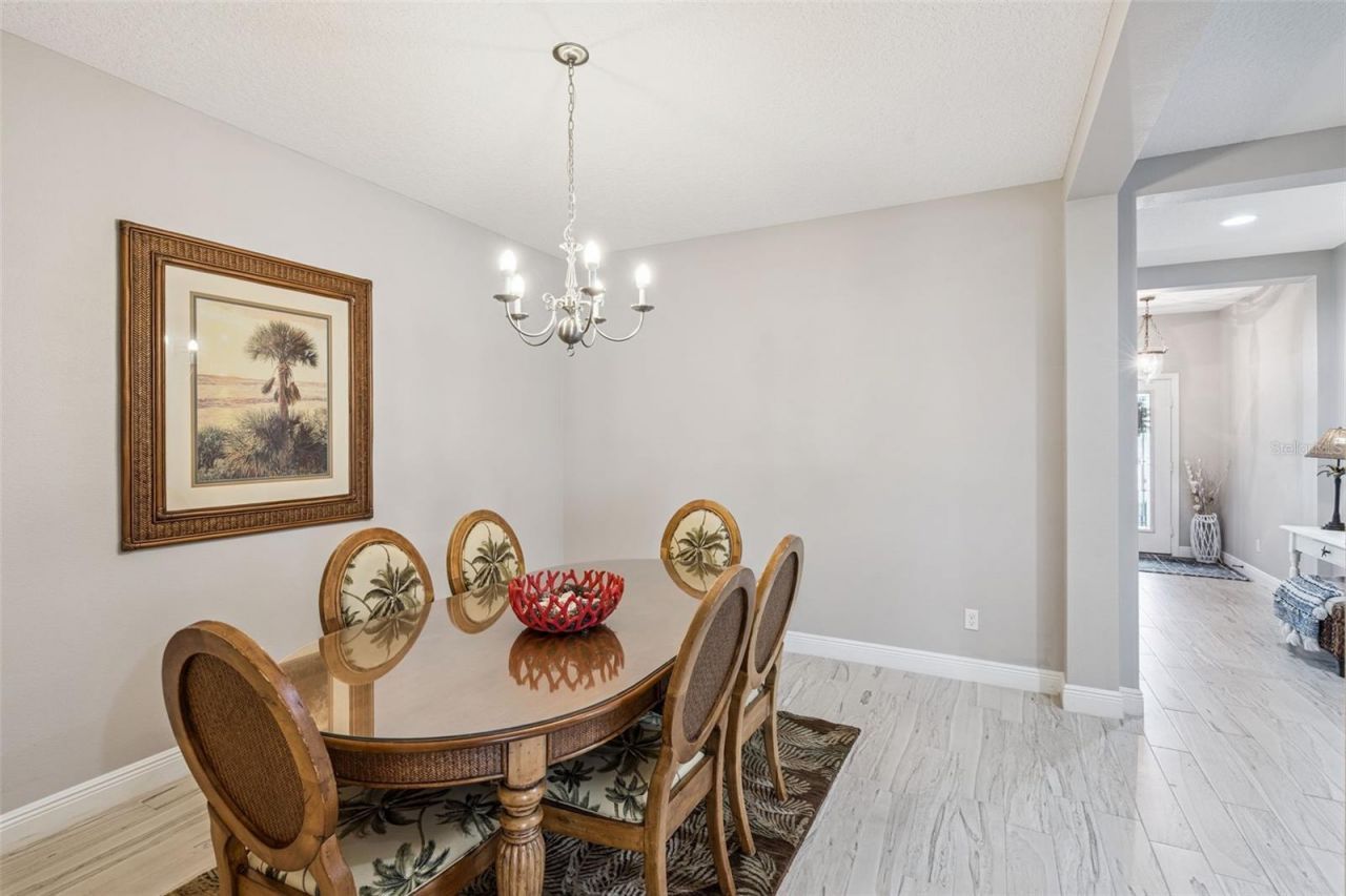 2496 Plumadore Drive, Grand Island, FL 32735 Photo