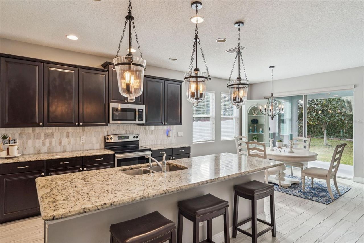 2496 Plumadore Drive, Grand Island, FL 32735 Photo