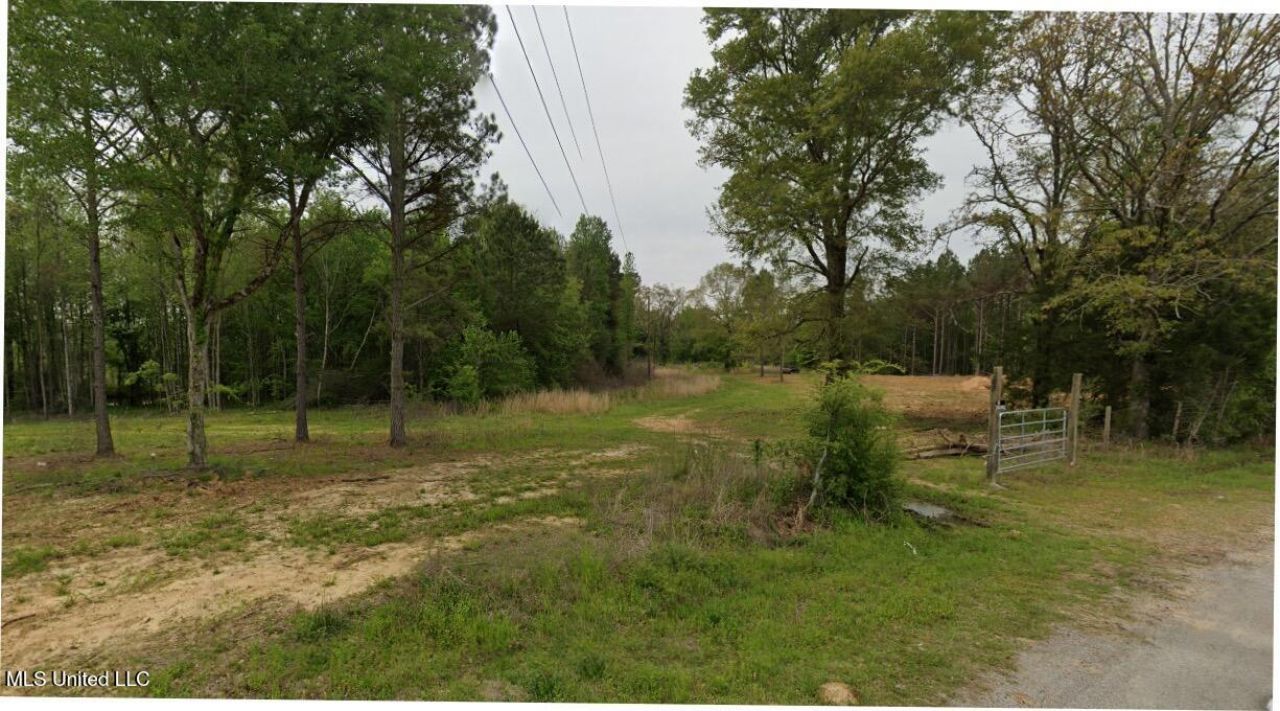 243 Old 51 Road, Pickens, MS 39146 Main Photo