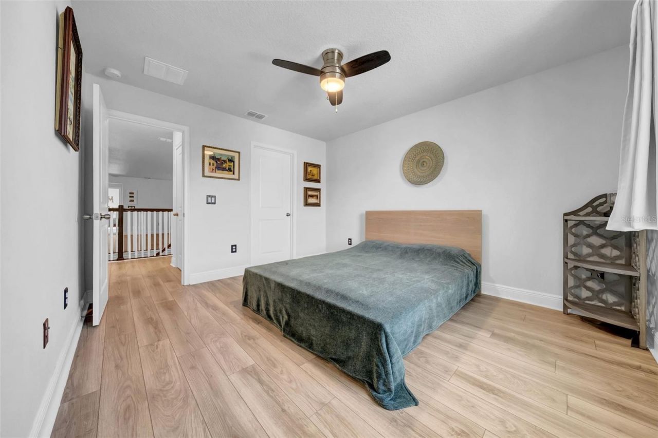 4007 Palm Key Avenue, Oldsmar, FL 34677 Photo