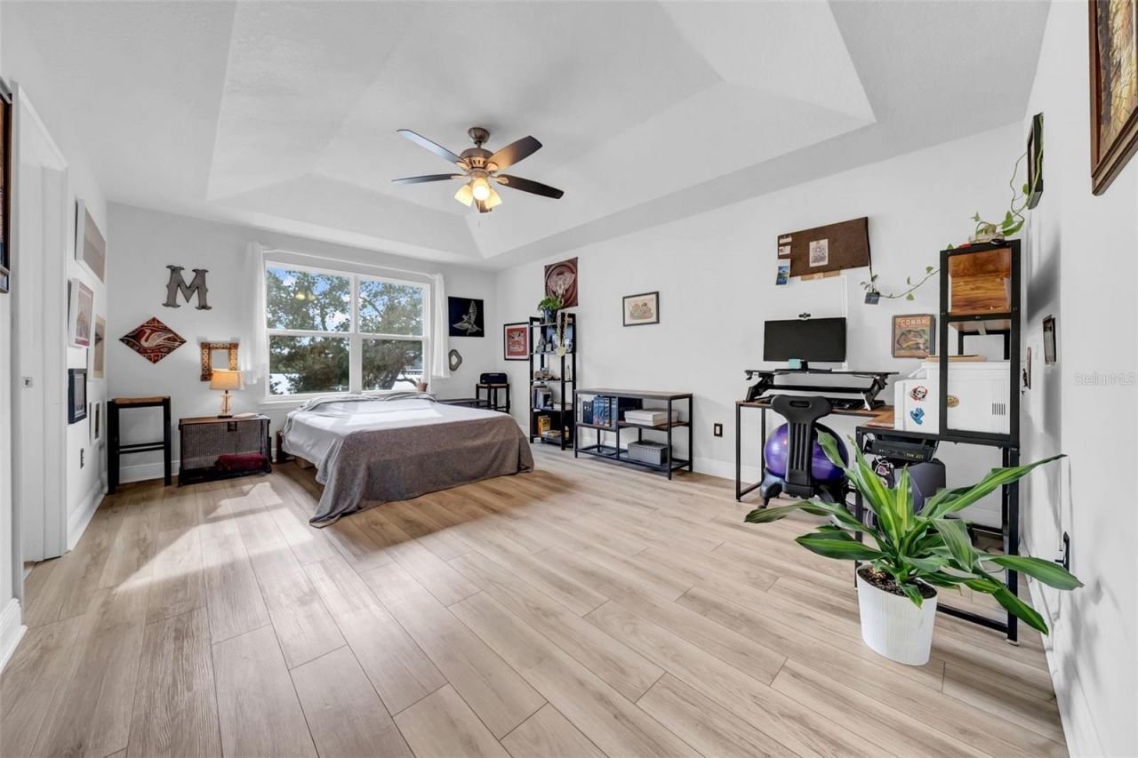 4007 Palm Key Avenue, Oldsmar, FL 34677 Photo