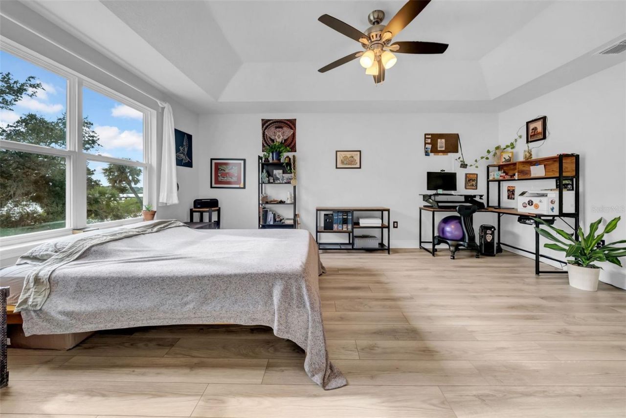 4007 Palm Key Avenue, Oldsmar, FL 34677 Photo