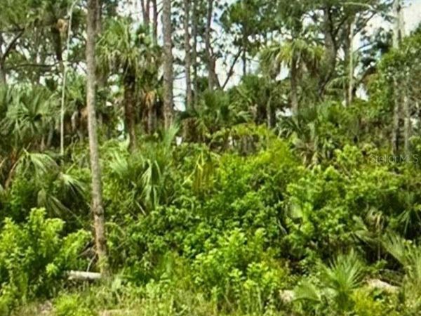 625 GREENBRIAR BOULEVARD, LEHIGH ACRES, FL 33972