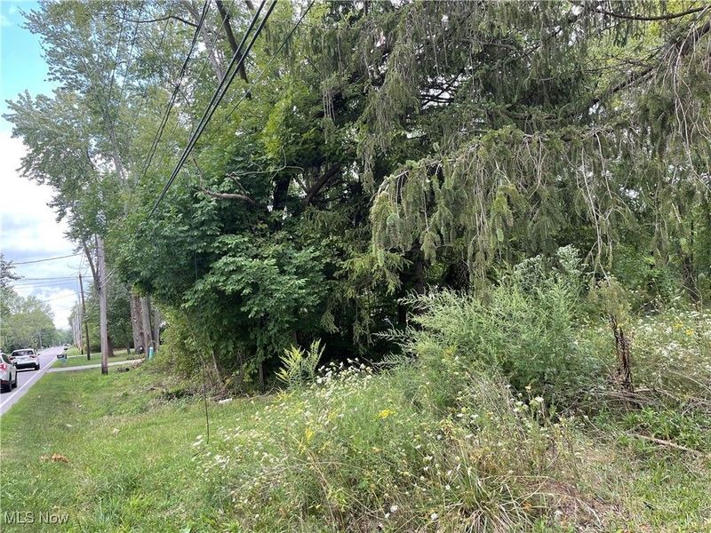 Bronson Road, Olmsted Township, OH 44138 Photo 10