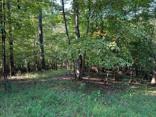 LOT 2 Cedar Bluff LN, Hardy, VA 24101