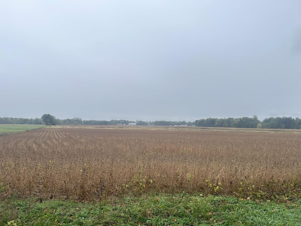 S Farrand, Colon, MI 49040 Main Photo