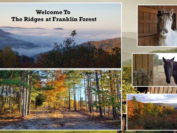 0 Falling Cliff Drive, South Pittsburg, TN 37380