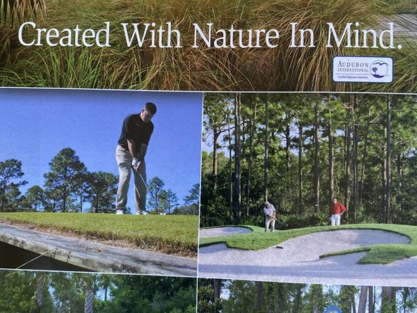 154 SKIMMER Drive, Carrabelle, FL 32323