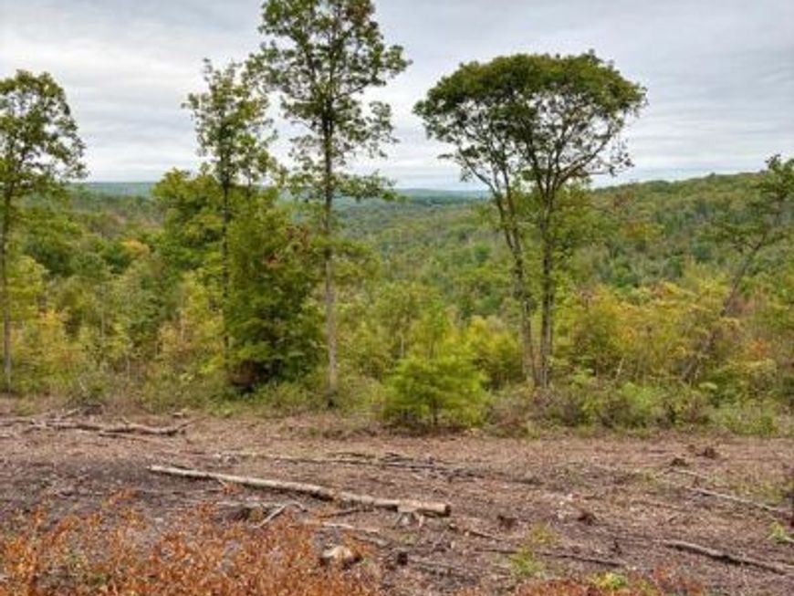 31-36 Beech Creek Mountain Road, Beech Creek, PA 16822 Main Photo