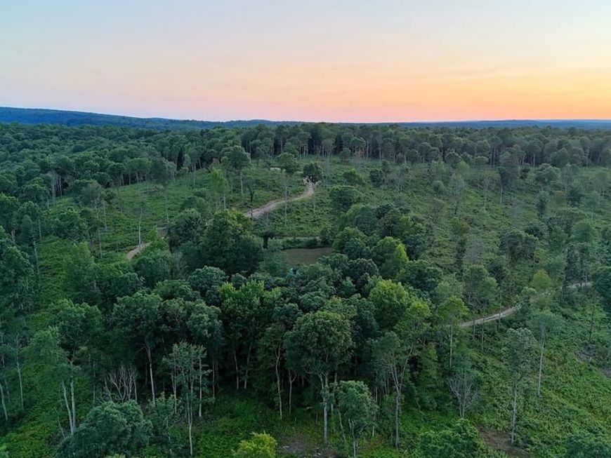 31-36 Beech Creek Mountain Road, Beech Creek, PA 16822 Main Photo