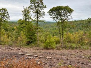 31-36 BEECH CREEK MOUNTAIN ROAD, BEECH CREEK, PA 16822