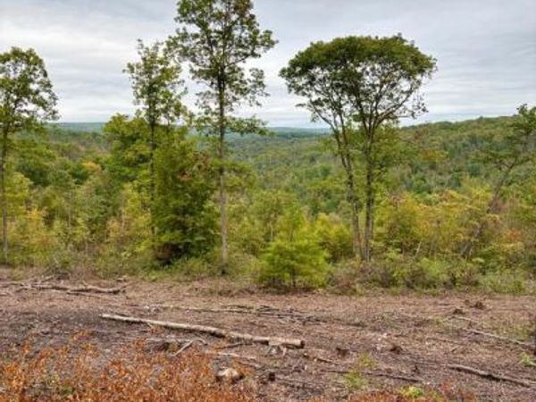 31-36 BEECH CREEK MOUNTAIN ROAD, BEECH CREEK, PA 16822