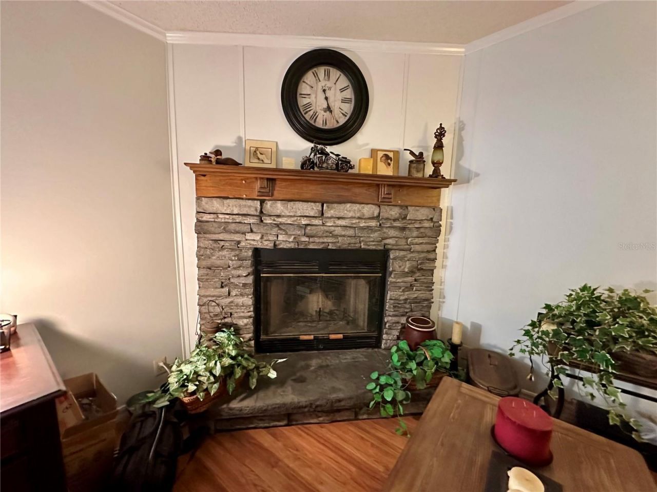 56233 Water Oak Road, Astor, FL 32102 Photo