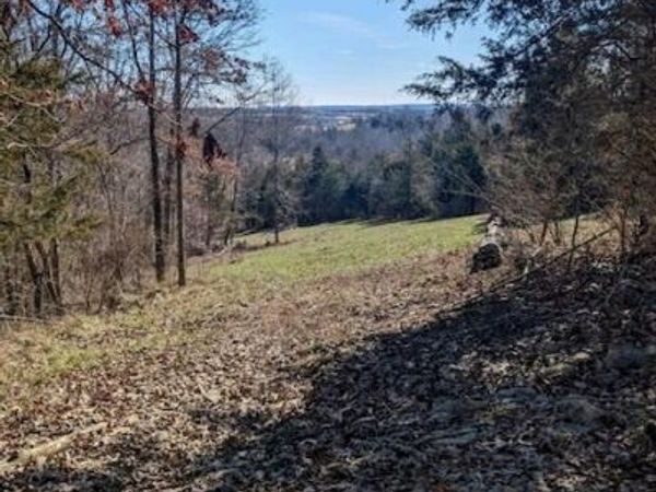 0 Fishing Creek Road, Falmouth, KY 41040