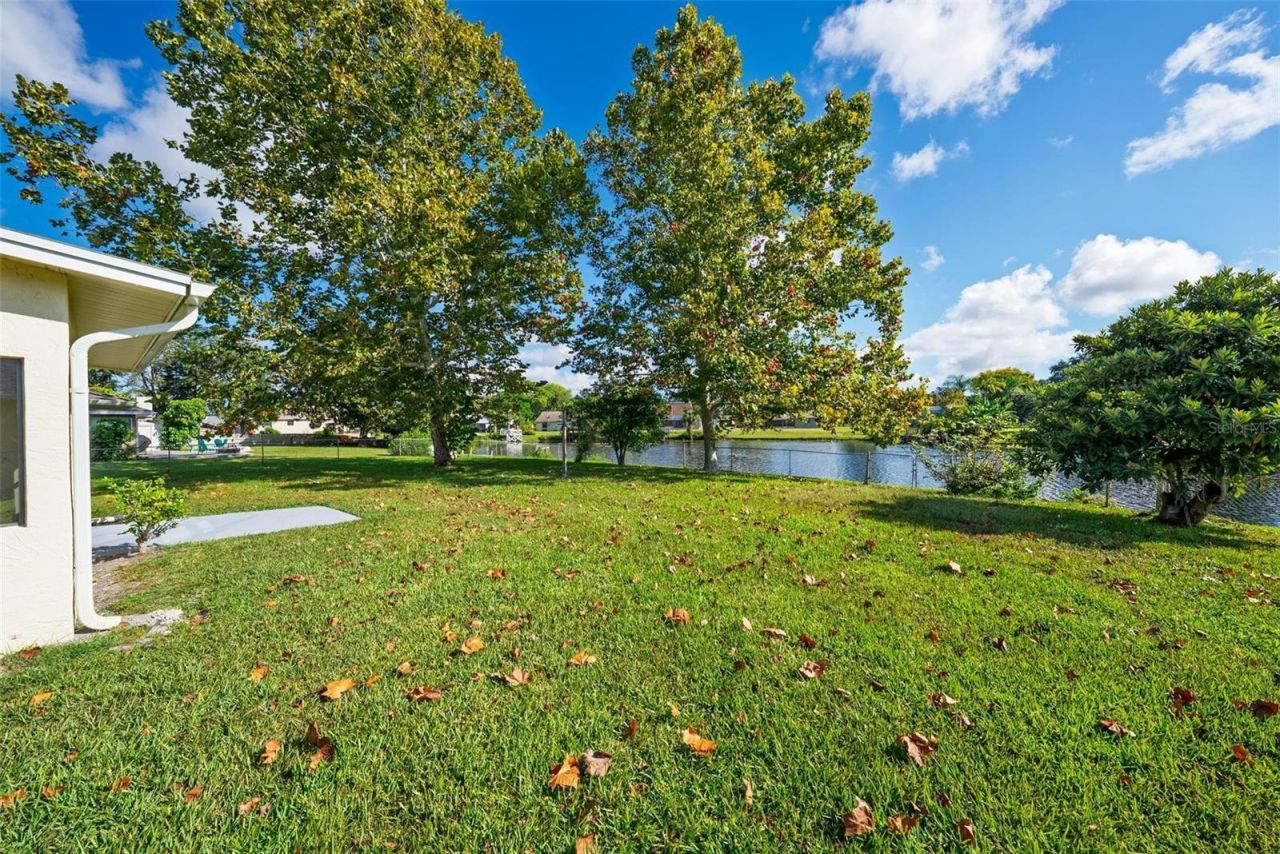 806 Black Duck Drive, Port Orange, FL 32127 Photo