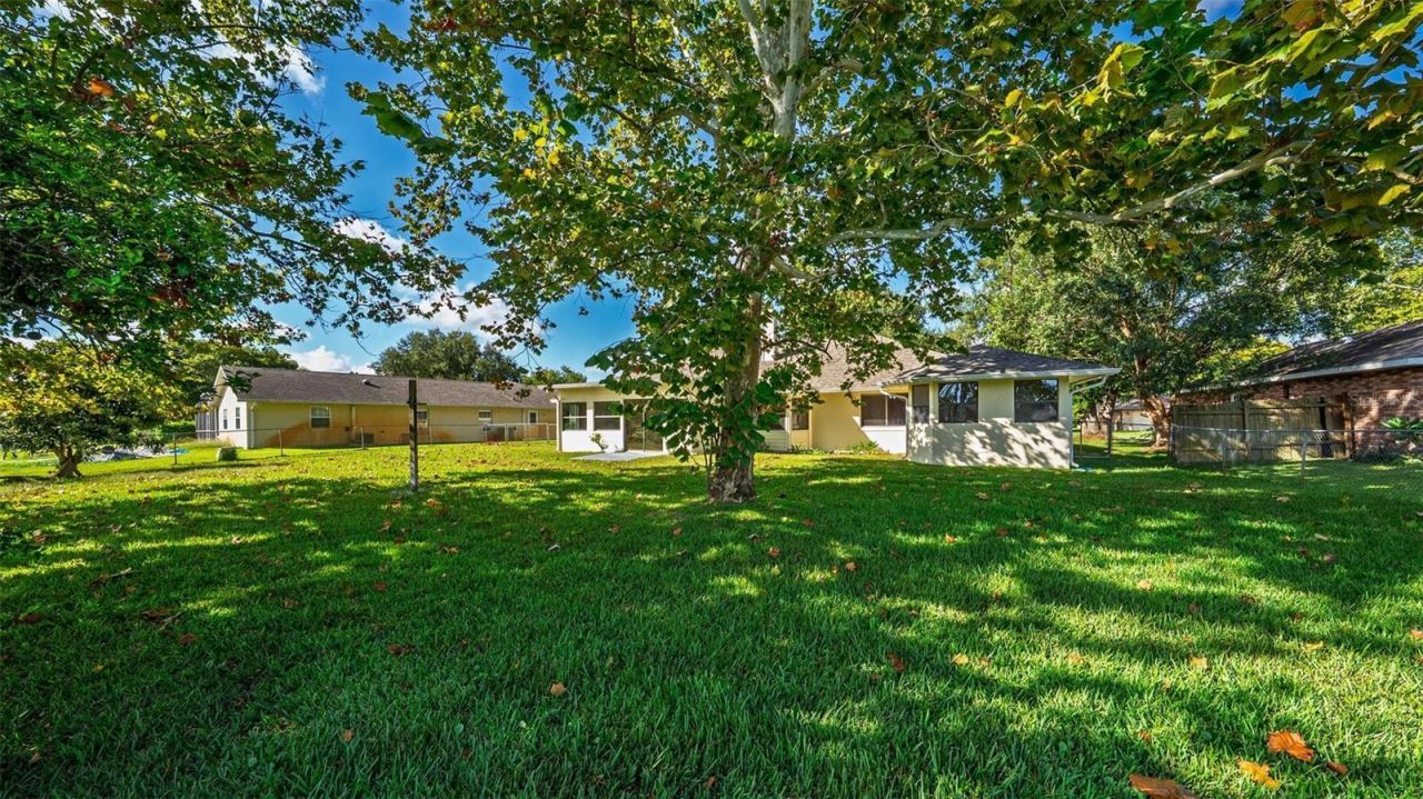 806 Black Duck Drive, Port Orange, FL 32127 Photo