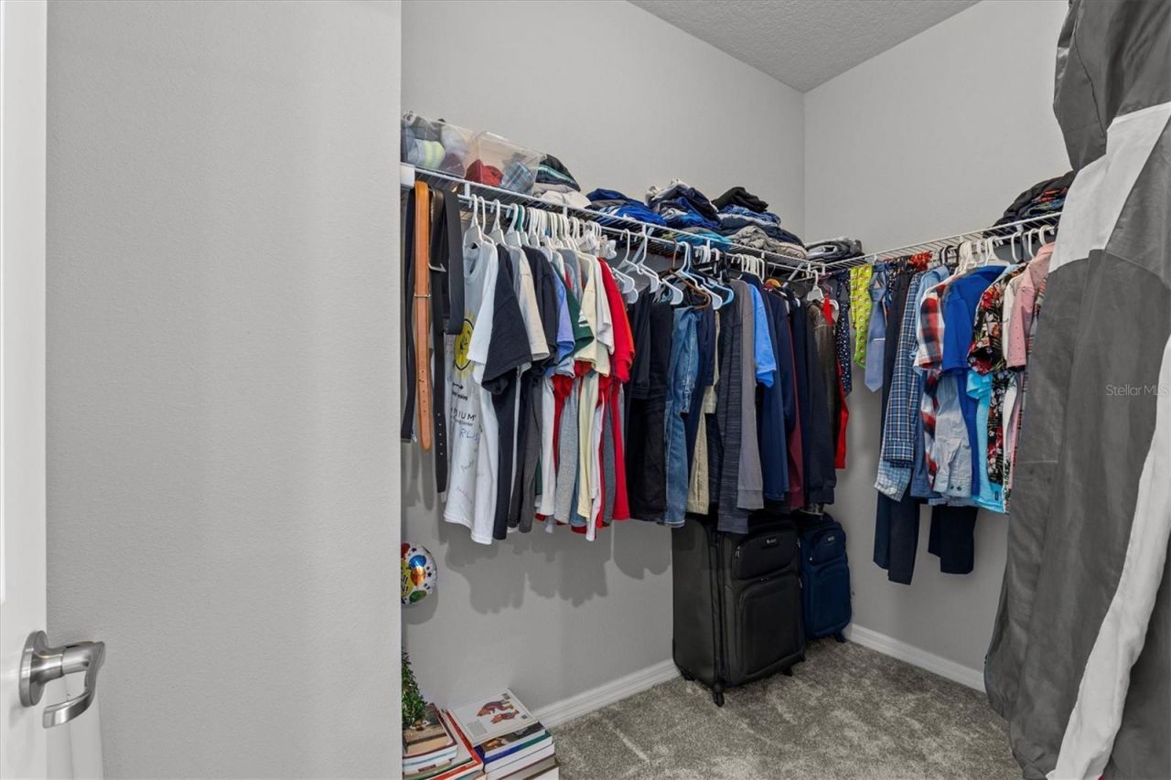 19270 Briarbrook Drive, Tampa, FL 33647 Photo