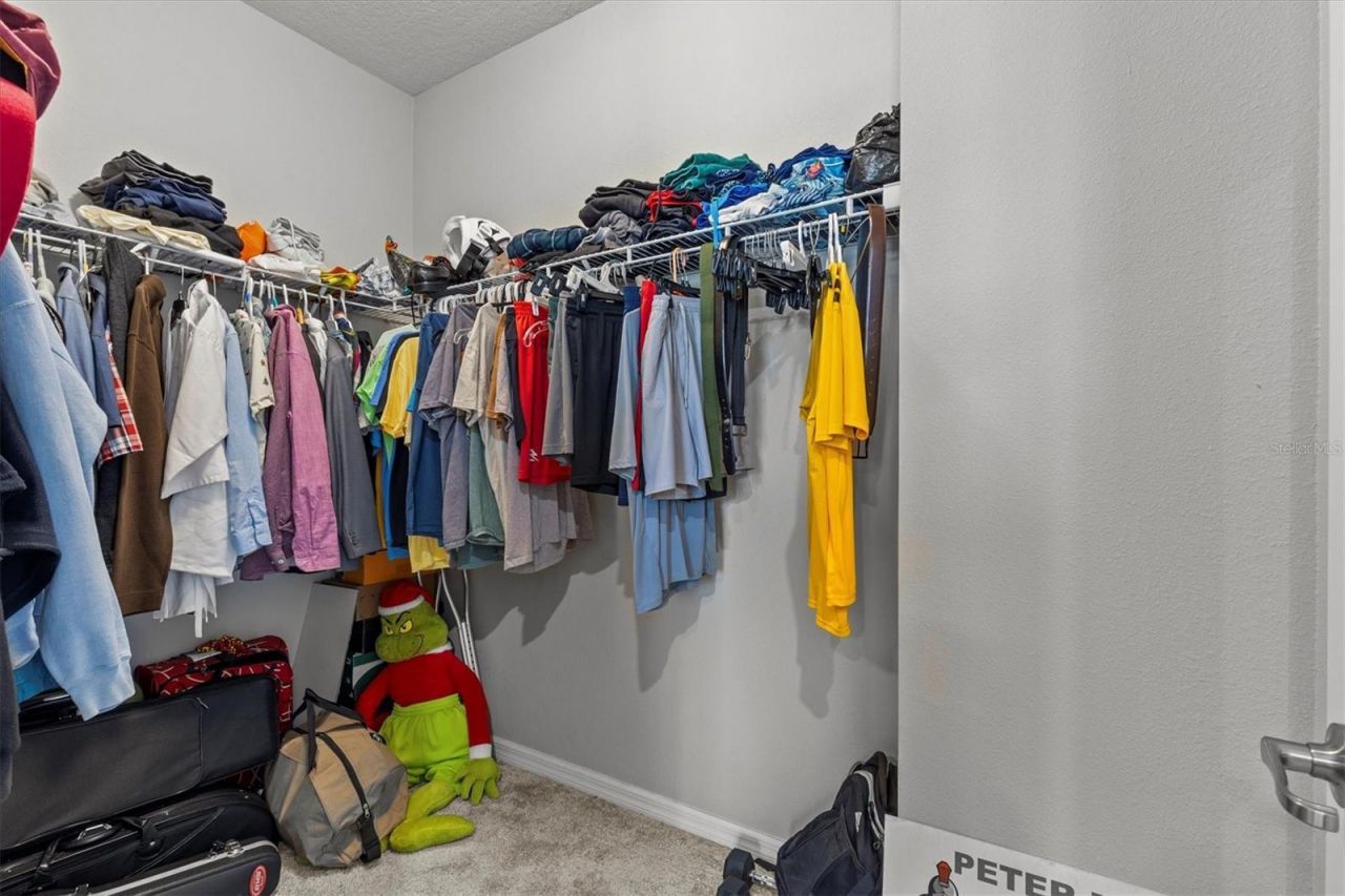 19270 Briarbrook Drive, Tampa, FL 33647 Photo