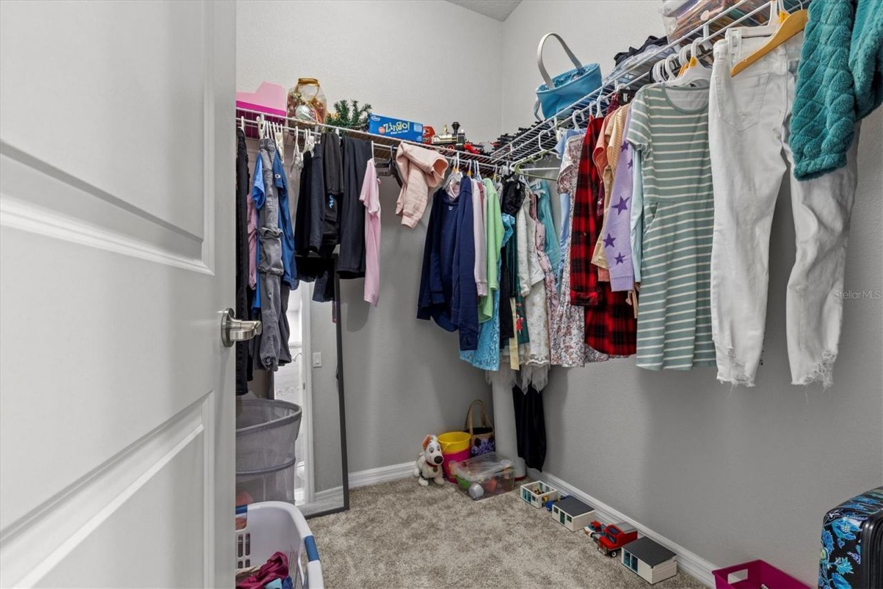 19270 Briarbrook Drive, Tampa, FL 33647 Photo