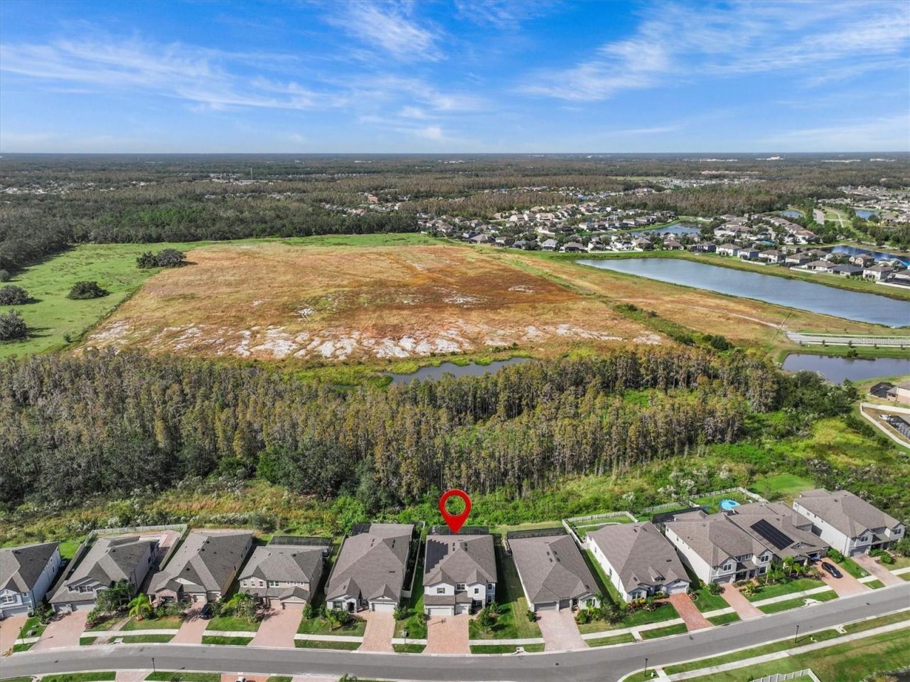 19270 Briarbrook Drive, Tampa, FL 33647 Photo