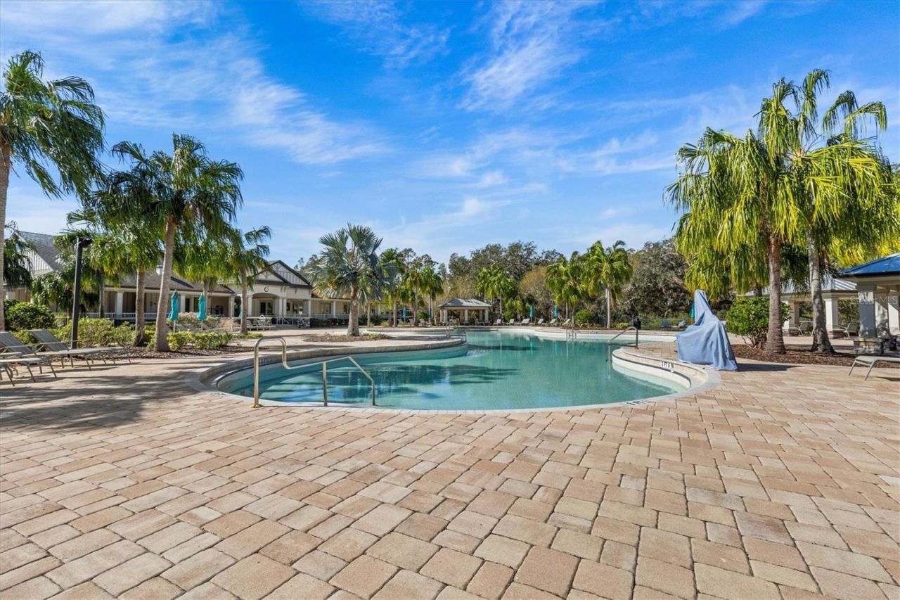 19270 Briarbrook Drive, Tampa, FL 33647 Photo