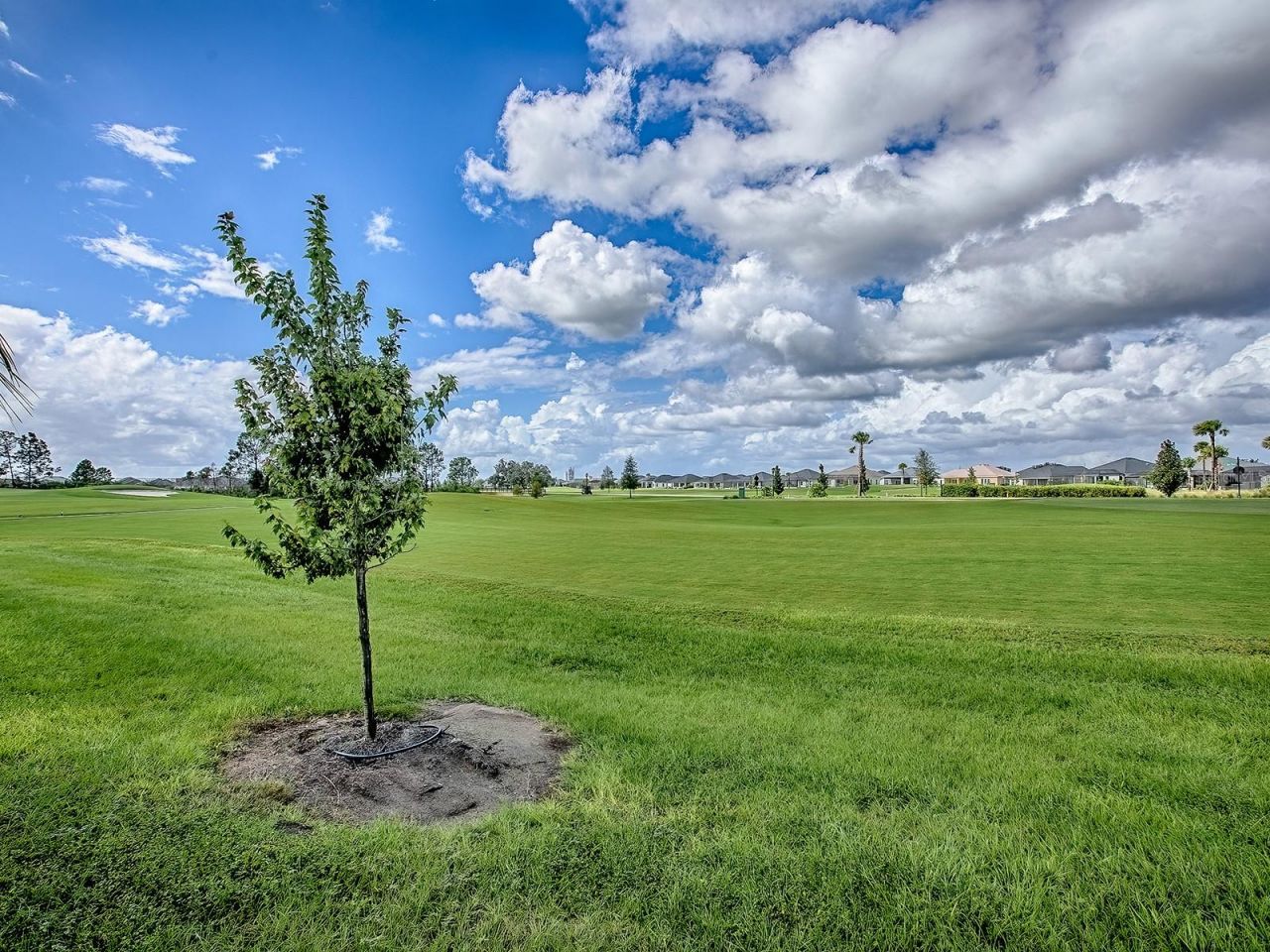 7718 Brian Etheredge Way, The Villages, FL 34762 Photo