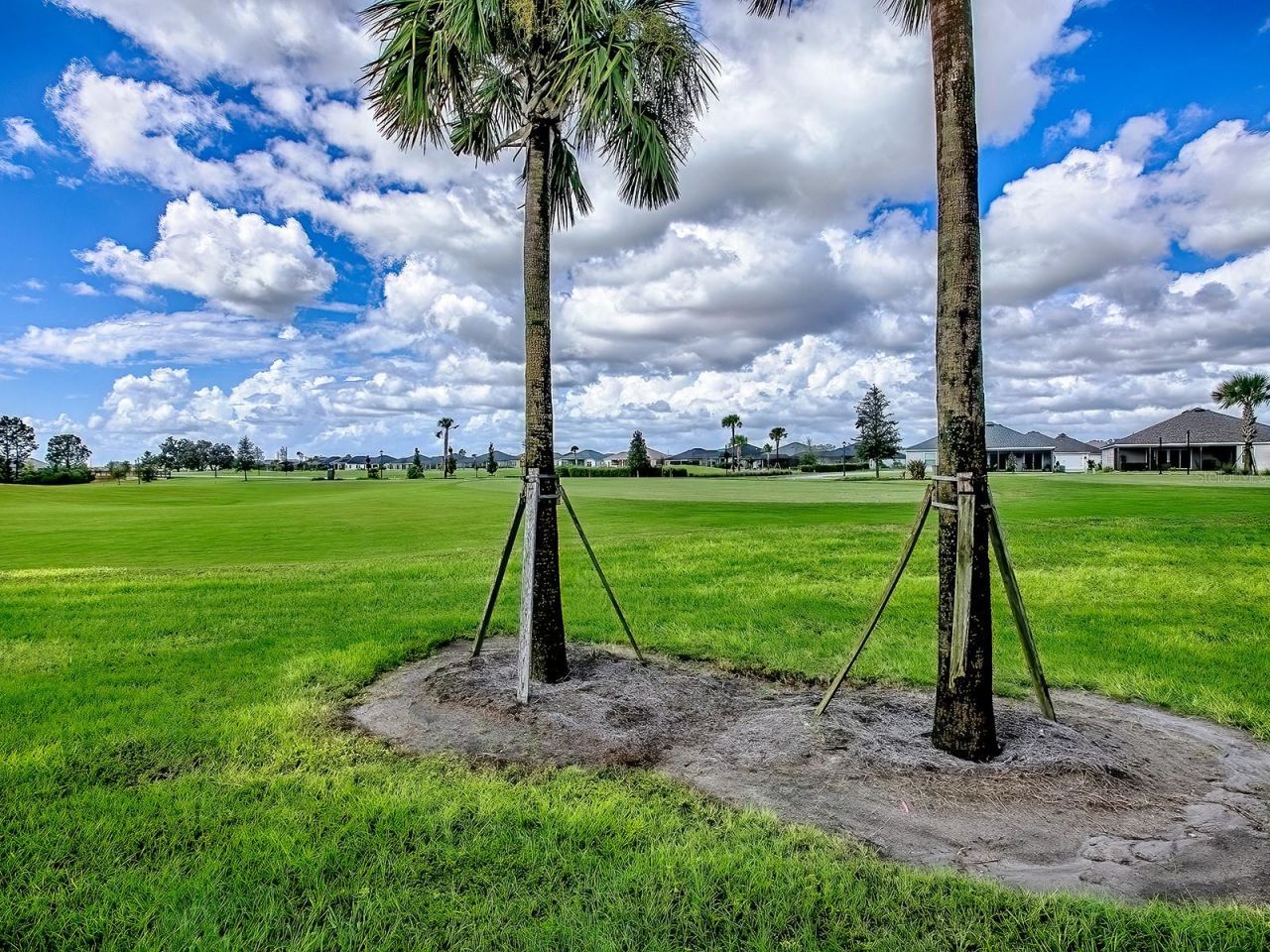 7718 Brian Etheredge Way, The Villages, FL 34762 Photo