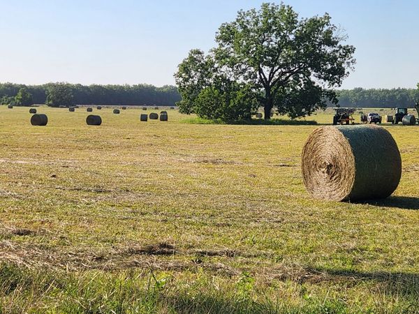9251 E 470 Road, Claremore, OK 74017