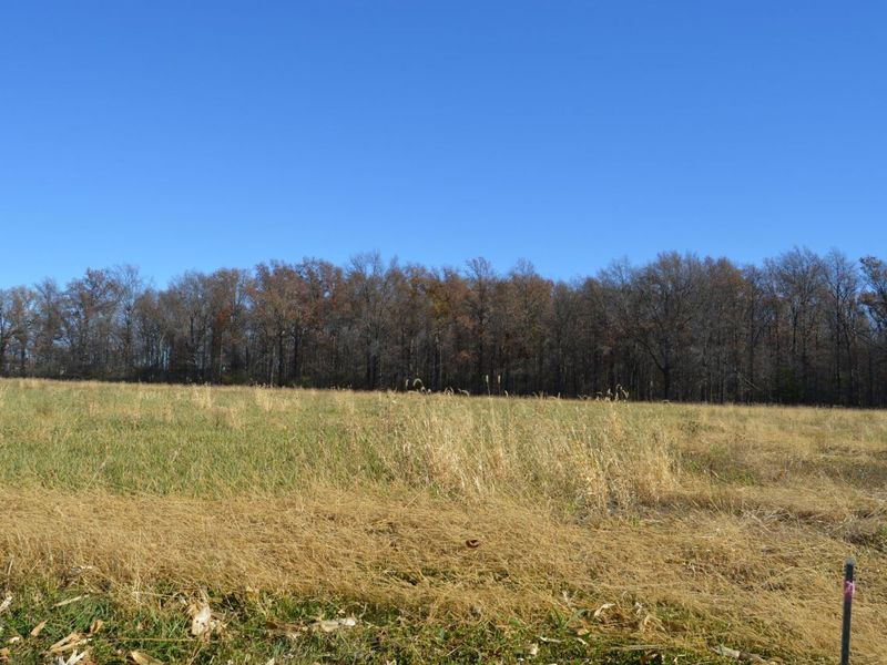 0 S Mitchell Road, Bowling Green, OH 43402 Photo 2