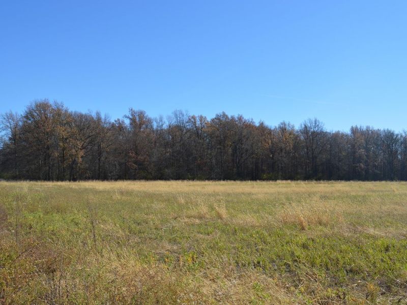 0 S Mitchell Road, Bowling Green, OH 43402 Photo 7