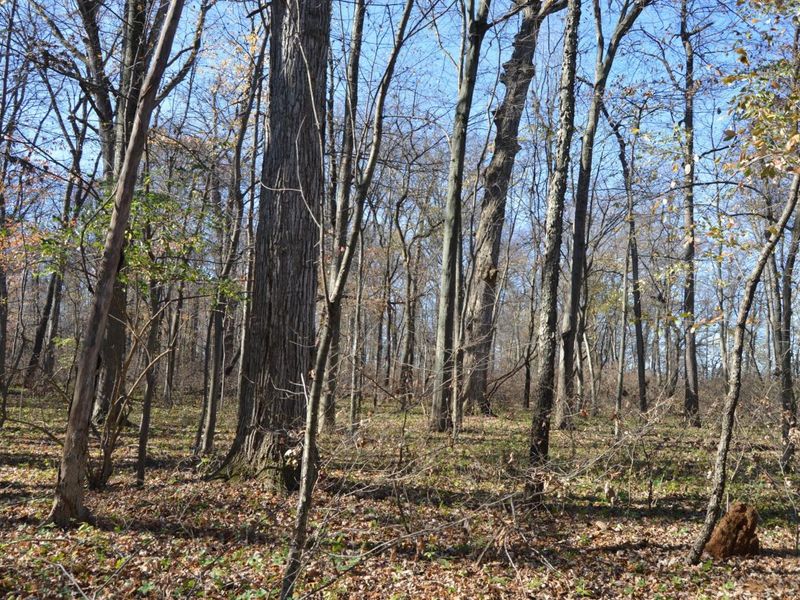 0 S Mitchell Road, Bowling Green, OH 43402 Photo 8