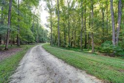 1239 John G Richards Road photo 4