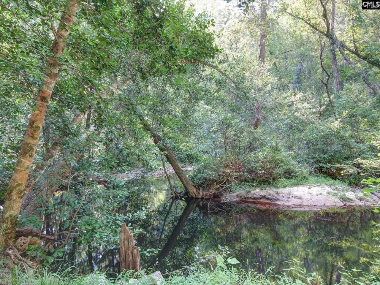 1239 John G Richards Road Photo 32