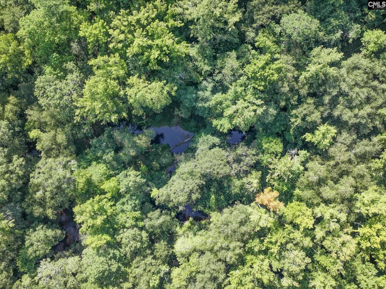 1239 John G Richards Road Photo 36